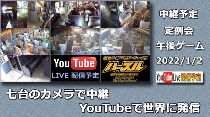 豊橋ハッスルライブ デイゲーム定例会 午後ゲーム 2022/1/2