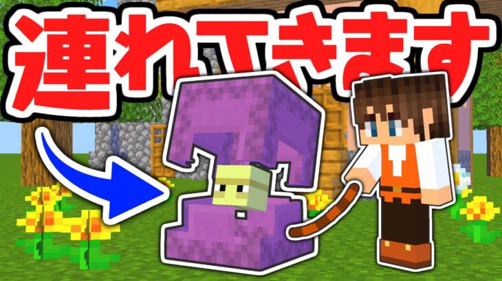 超激ムズ企画!?エンドからシュルカーを連れてきます!!マイクラ実況Part480【マインクラフト】