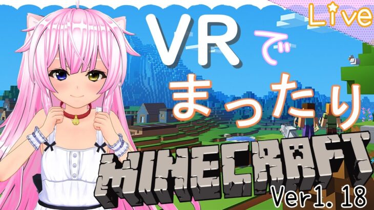 VRゲーム実況【 VRマインクラフト⛏ 】Ver.1.18 ＃2