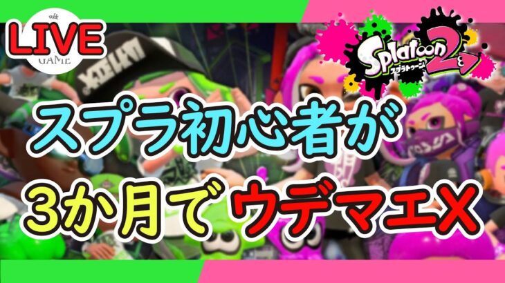 【配信】こんなゲーム売ります。探さないでください。(スプラトゥーン２)