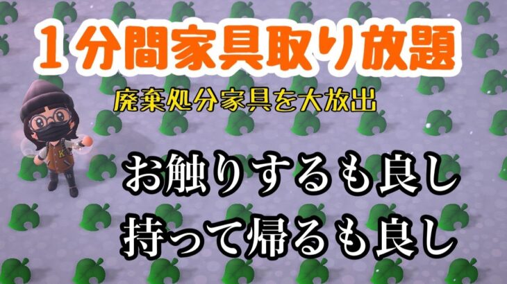 【あつ森ライブ配信】１分間家具取り放題。初見さんもいらっしゃい～！【あつまれどうぶつの森】