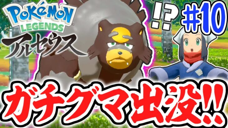 凶暴すぎるガチグマが出没!!まさかの新ポケモンを仲間にできるのか!?レジェンズアルセウス最速実況Part10【Pokémon LEGENDS アルセウス】