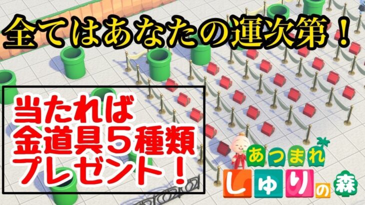 【あつ森ライブ配信】信じるのは自分の運のみ！運試しドカンチャレンジ！【あつまれどうぶつの森】