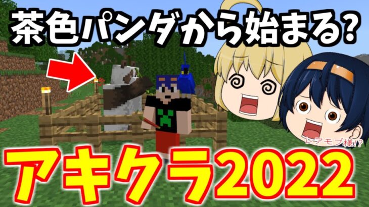 【マイクラ】アキクラ2022開始！！奇跡の茶色パンダと出会って幸先最高！？　PART1【ゆっくり実況】