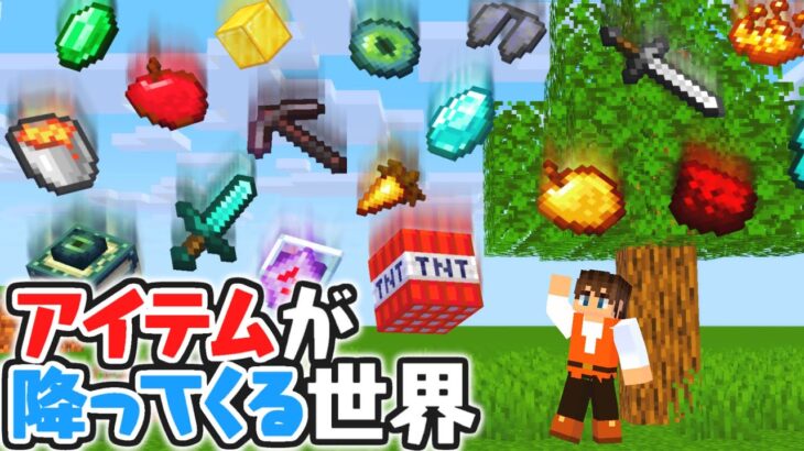 アイテムが大量に降ってくる!?めちゃくちゃな世界でエンドラ討伐!!マイクラMod実況【マインクラフト】