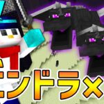 【マイクラ】エンドラ２体倒すまで終われません！【罰ゲーム】