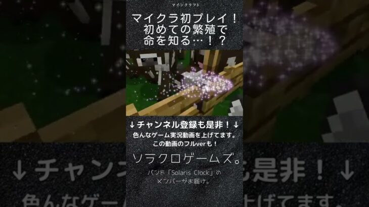 【ゲーム実況】マイクラ初プレイ！初めてのウシの繁殖で命の意味を知る3人…！？【マインクラフト】#Shorts