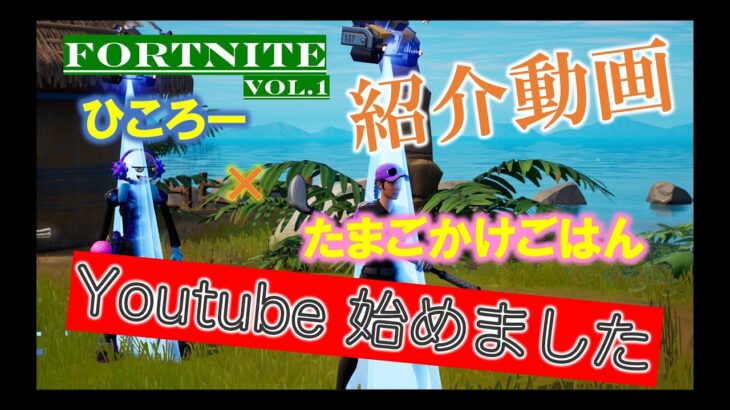 『Fortnite配信』いざ参戦！！ゲーム実況始めます！ひこたまちゃんねる覚えてね☺