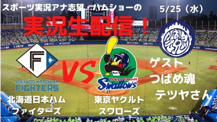 【本格実況】日本ハムファイターズVSヤクルトスワローズ 5/25