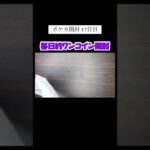 ポケカ開封17日目👾#ポケモン #ポケカ開封 #ゲーム実況 #ポケカ
