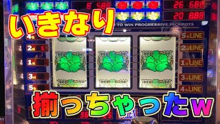 【メダルゲーム実況】目指せ一撃配当！ゆるハラスロット紀行 #38