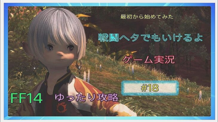 【FF14】ゲーム実況・♯18・四国合同演習・ダイジェスト版・ネタバレ注意