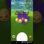 ついにシャドウ◯◯の△△がきたぁ【ポケモンGO】#shorts #ゲーム実況 #shinee