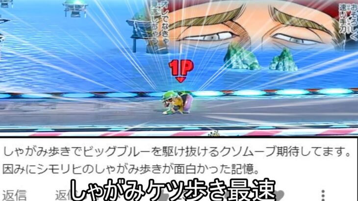 後方への「しゃがみ歩き」のみでビッグブルーを爆走するクソムーブ紹介【スマブラSP】