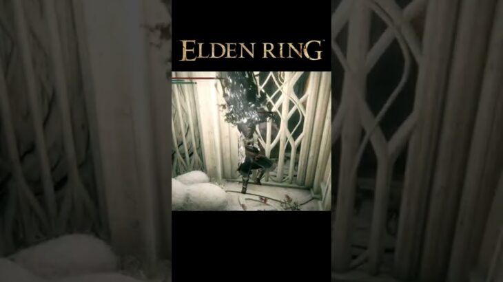 この先、待ち伏せに注意しろ #shorts #ゲーム実況 #ELDENRING #エルデンリング #ゲームセンターいとお #eldenring