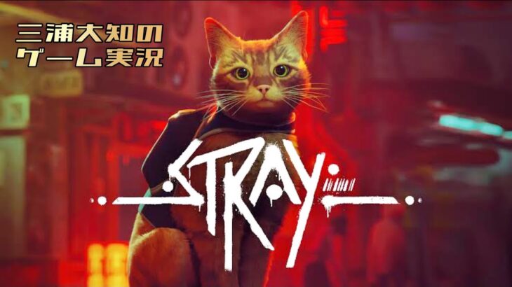 #1 【猫が可愛すぎて俺がうるさい】三浦大知の「Stray」