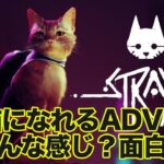 【本日発売】猫になって冒険するADV『Stray（ストレイ）』初見実況【新作ゲームライブ】