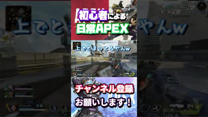 日常APEXおふざけシーン【APEX】#short #shorts #ゲーム実況 #ゲーム #やってみた #apex #apexlegends #apexランク