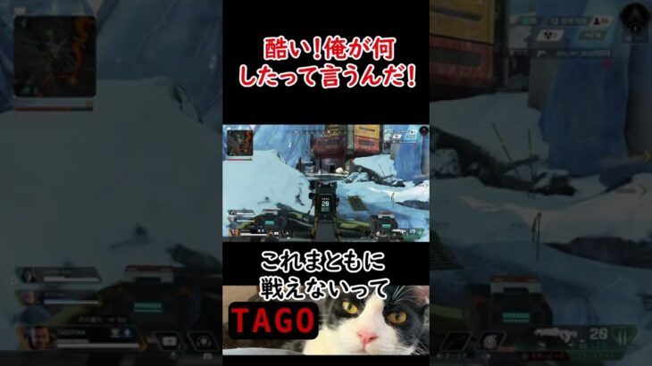 【APEX】突然のバグラグに一同騒然！　#short #apex #ゲーム実況