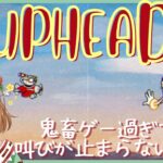 ゲーム実況【Cuphead】 part2　鬼畜ゲー過ぎて叫びが止まらない…。
