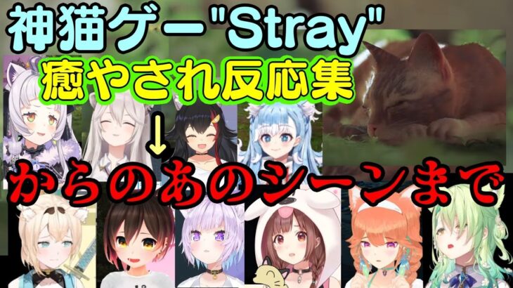 猫のゲームで癒やされまくるホロライブメンバーたちの癒やされ反応＋急展開で大ダメージを受けるところまとめ【ホロライブ/ホロライブEN/ホロライブID】