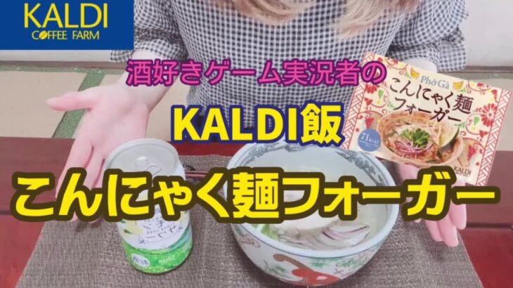 【KALDI飯】ゲーム実況者がこんにゃく麺フォーガー作ってみた