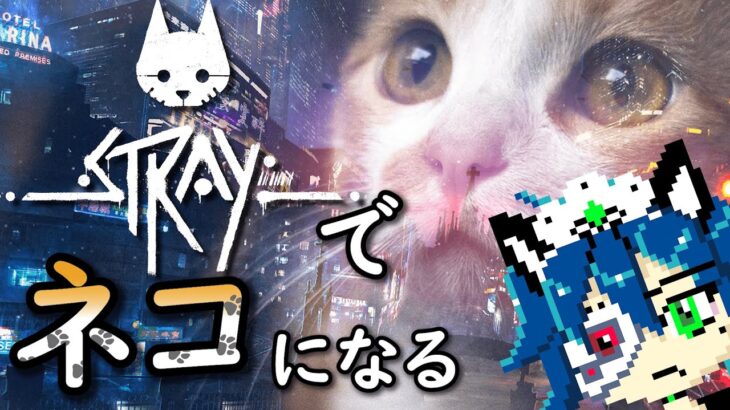 落ちたのゴメン！【STRAY / インディーゲーム実況】続ねこVSモルカー最終決戦【fiVe】