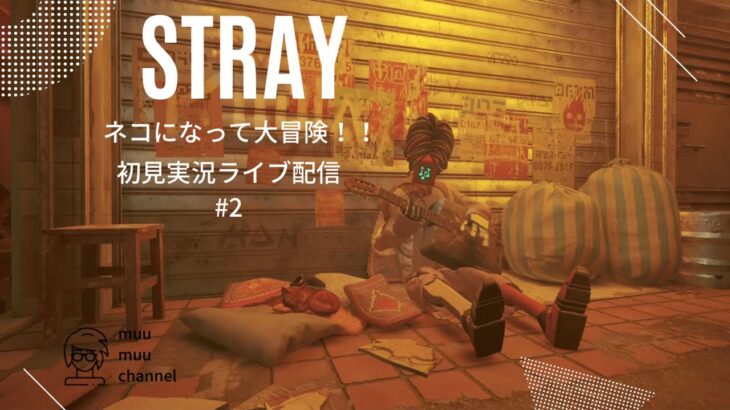 【STRAY】#2 発売ホヤホヤ猫になるゲーム初見実況ライブ配信