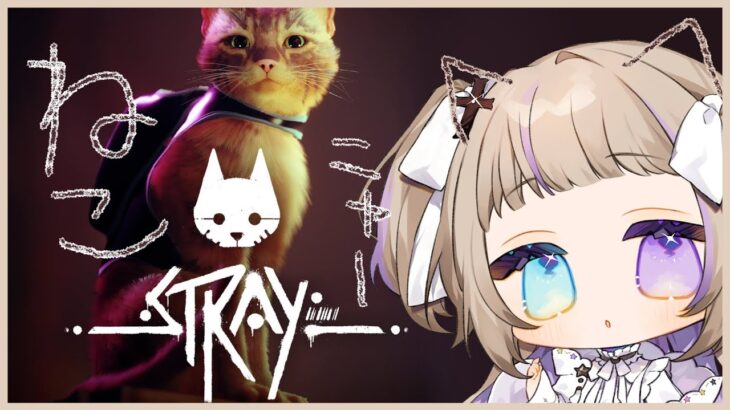 【ゲーム実況プレイ】ジャケットゲットで最終回！【Stray #05】