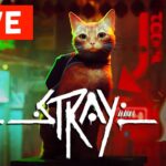 リアルすぎ!! 猫で冒険『Stray』初見ライブ配信・ゲーム実況