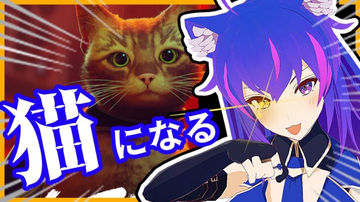 【Stray】猫になって廃墟を散歩するゲーム【ゲーム実況/VTuber】