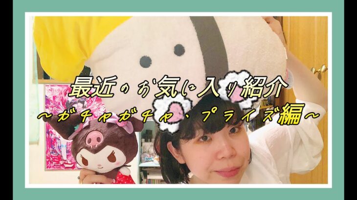 ライブの感想と最近のお気に入り紹介〜ガチャガチャ・クレーンゲーム編〜/Vlog/ぬいぐるみ/レトロ/サンリオ/アクリルキーホルダー/ガシャポン -My favorite introduction