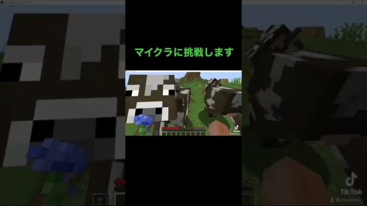 pc版のマインクラフトに挑戦①#マイクラ #ゲーム実況