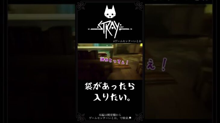 猫の生き方 #shorts #stray #cat #猫 #ゲーム実況 #ゲームセンターいとお #チャンネル登録お願いします