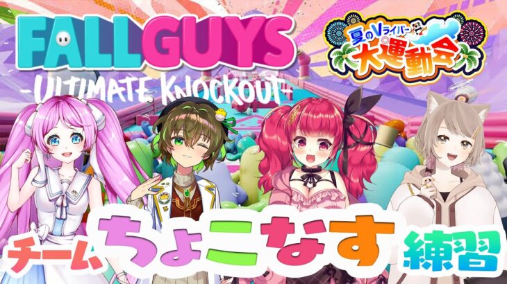 【ゲーム実況】チーム「ちょこなす」で#FallGuys の大会練習！【冬沙凪。視点】#ほいほいチュウ