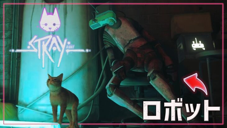 【STRAY】猫になってサイバーシティを冒険するゲームを配信！　ストレイ実況ライブ＃1