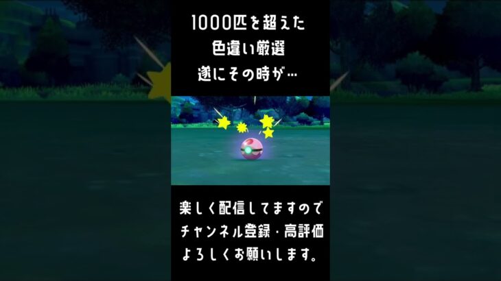 これだから色違い厳選はやめられない #shorts #ゲーム実況 #ポケモン剣盾