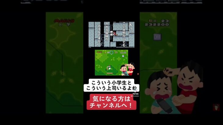 感情の起伏が激しいやつ #shorts #マリオ #マリオワールド #ゲーム実況 #あるある #いるいる