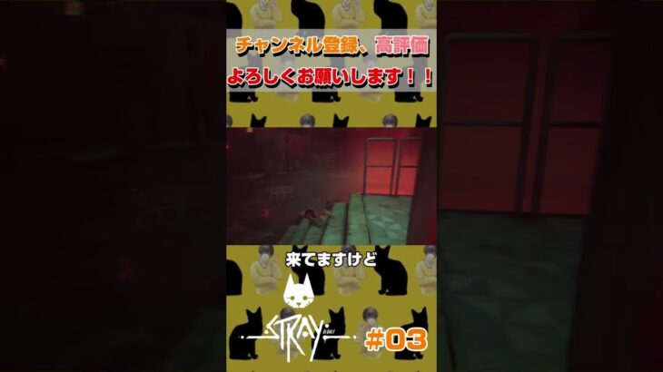 ネコ、興味を持たれ過ぎる #shorts #ゲーム実況 #ps4 #stray #猫