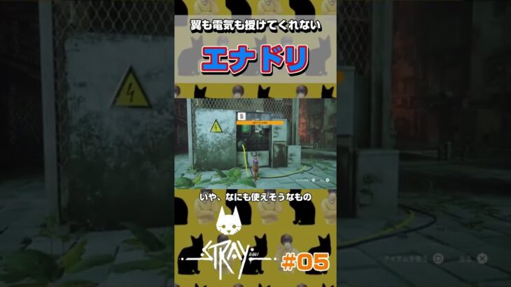 エナドリ革命を起こしたい #shorts #ゲーム実況 #ps4 #stray #猫