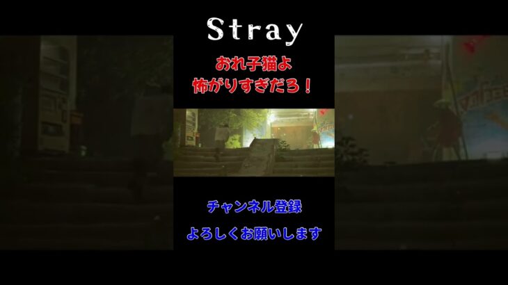 おれ、子猫なのに#stray #ゲーム実況 #ゲーム女子 #半そば #shorts