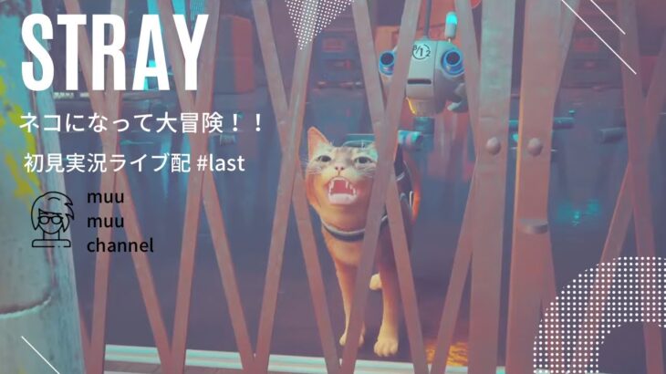 【STRAY】#last ネコになって大冒険!!初見ゲーム実況ライブ配信