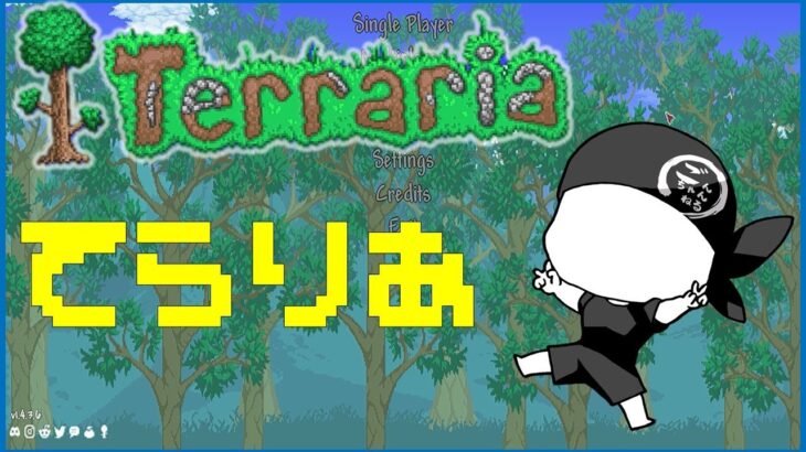 【Terraria】まったりのんびりやりたい：ごんざ　テラリア　ゲーム実況