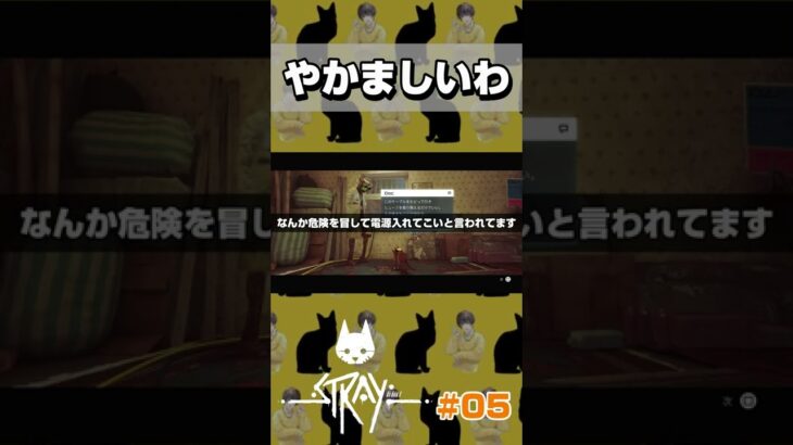 やかましいわ #shorts #ゲーム実況 #ps4 #stray #猫