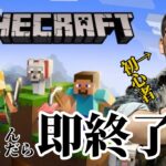 【ゲーム実況】岩盤まで掘りたい！！初心者マイクラ死んだら即終了 #4