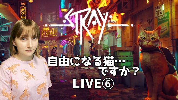 LIVE【Stray・新しい猫ゲーム】➅自由になる猫・・・ですか？最終回？つたない日本語ゲーム実況