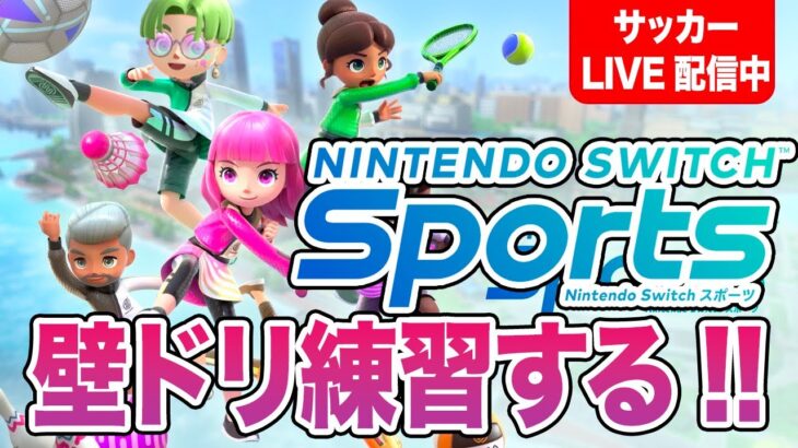 壁ドリ練習する！！【Nintendo Switch Sports サッカー】/まえだのゲーム実況