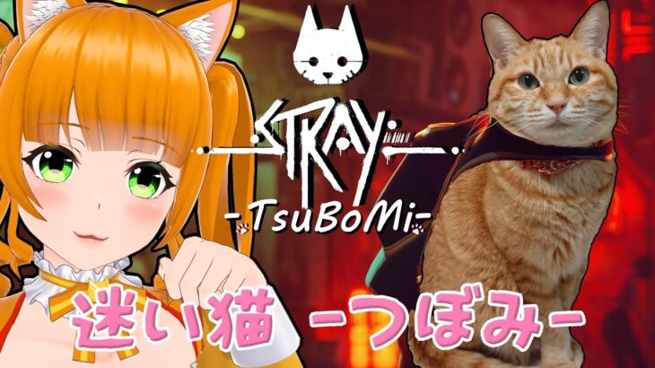 【ゲーム実況】迷い猫つぼみ【STRAY(ネタバレ注意】Vtuber『家猫つぼみ』