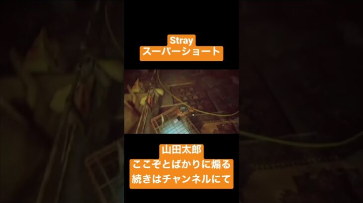 【Stray】煽りまくる山田太郎 【ゲーム実況】