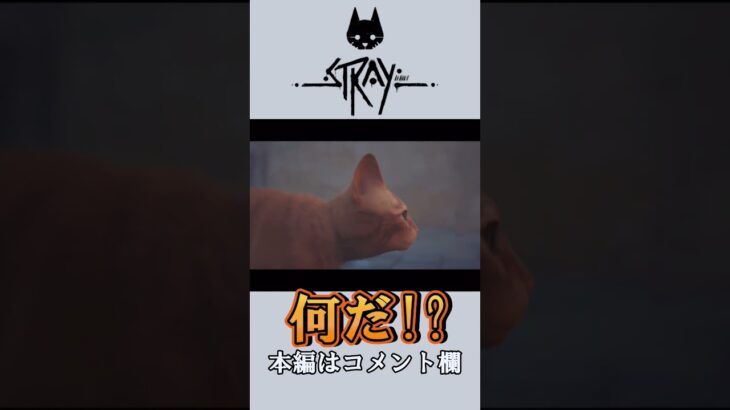 うわぁああ!!!!なんだこいつぅ!!! #ゲーム #ゲーム実況 #stray #ホラゲー